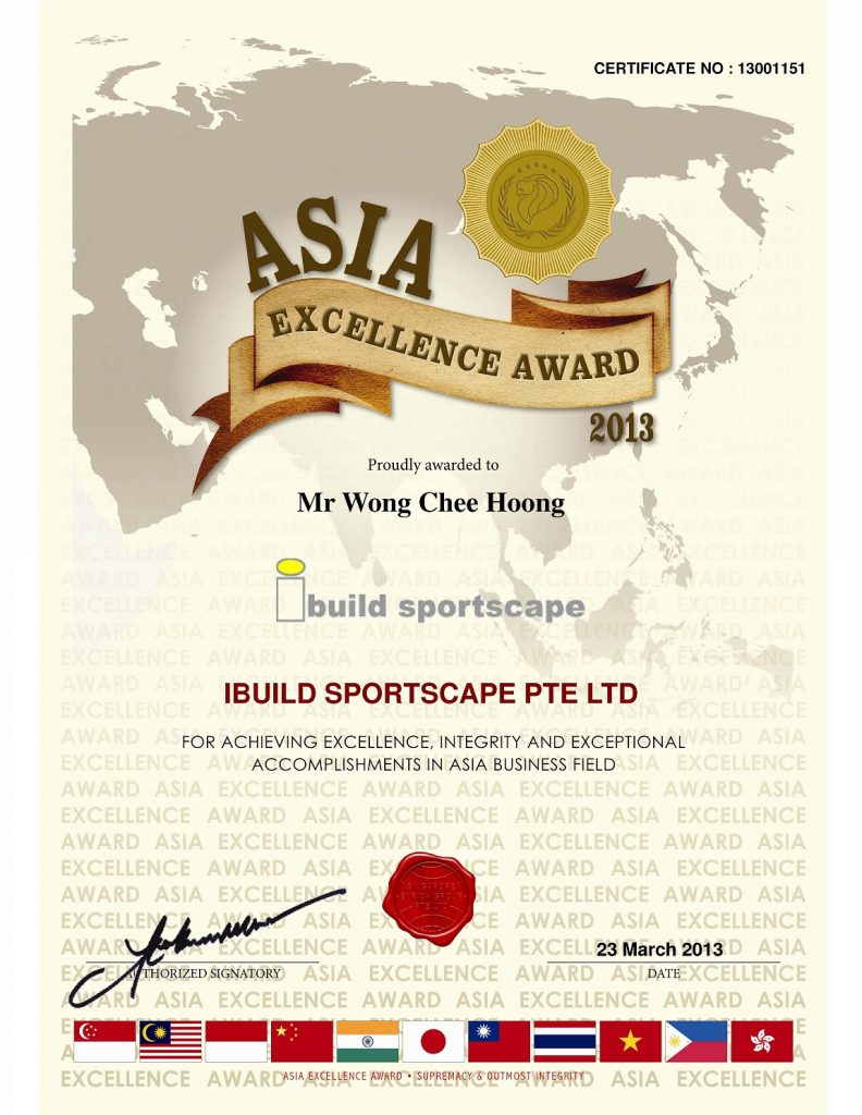 Asia Excellence Award 2013