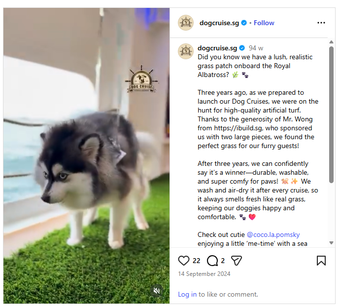 Instagram review by dogcruise.sg: durable, washable Namgrass artificial grass sponsored by ibuild.sg on the Royal Albatross dog cruise