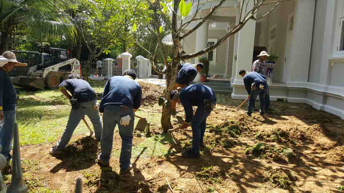 Installation team clearing the old lawn by hand at the heritage bungalow