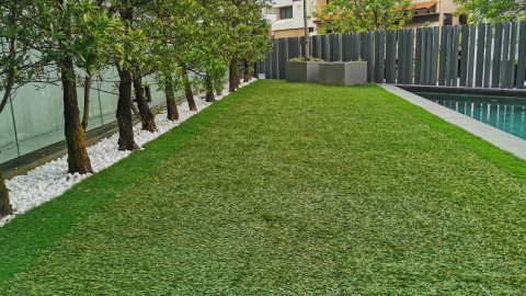 Artificial grass garden beside a pool at Fernhill Road
