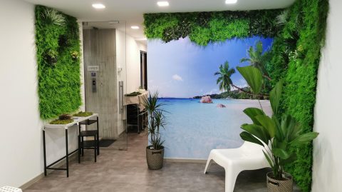Artificial hedge wall in a lift lobby at South Bridge Road, Singapore