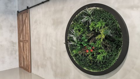 Curved artificial hedge feature wall at Tagore, Singapore