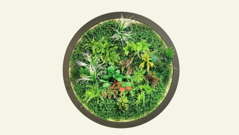 Circular artificial green wall feature