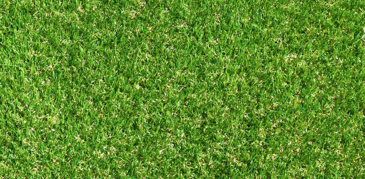 Namgrass Exbury 30mm artificial grass top plan view