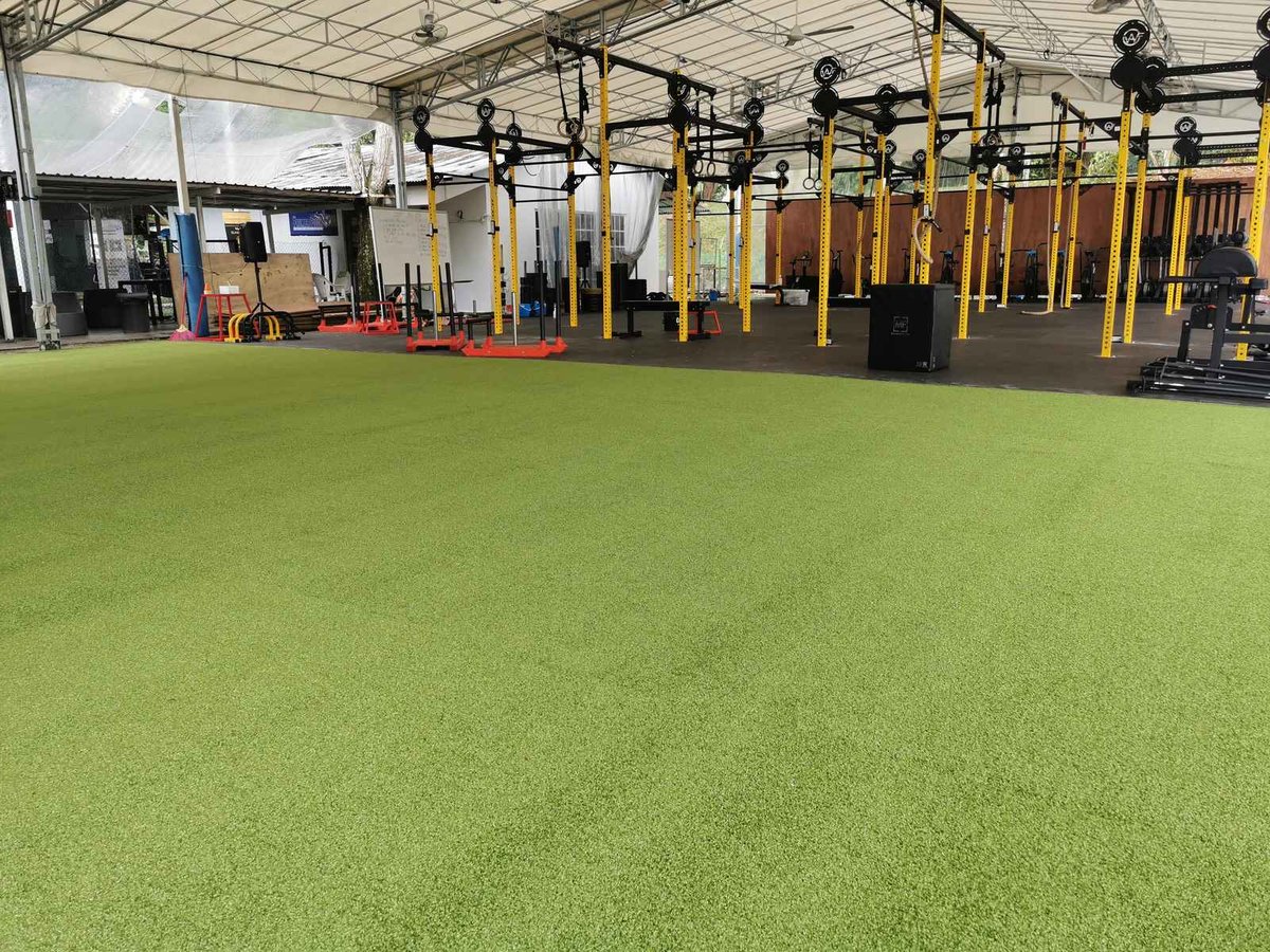 Artificial grass functional training floor under a rig at Wao Fitness, Singapore