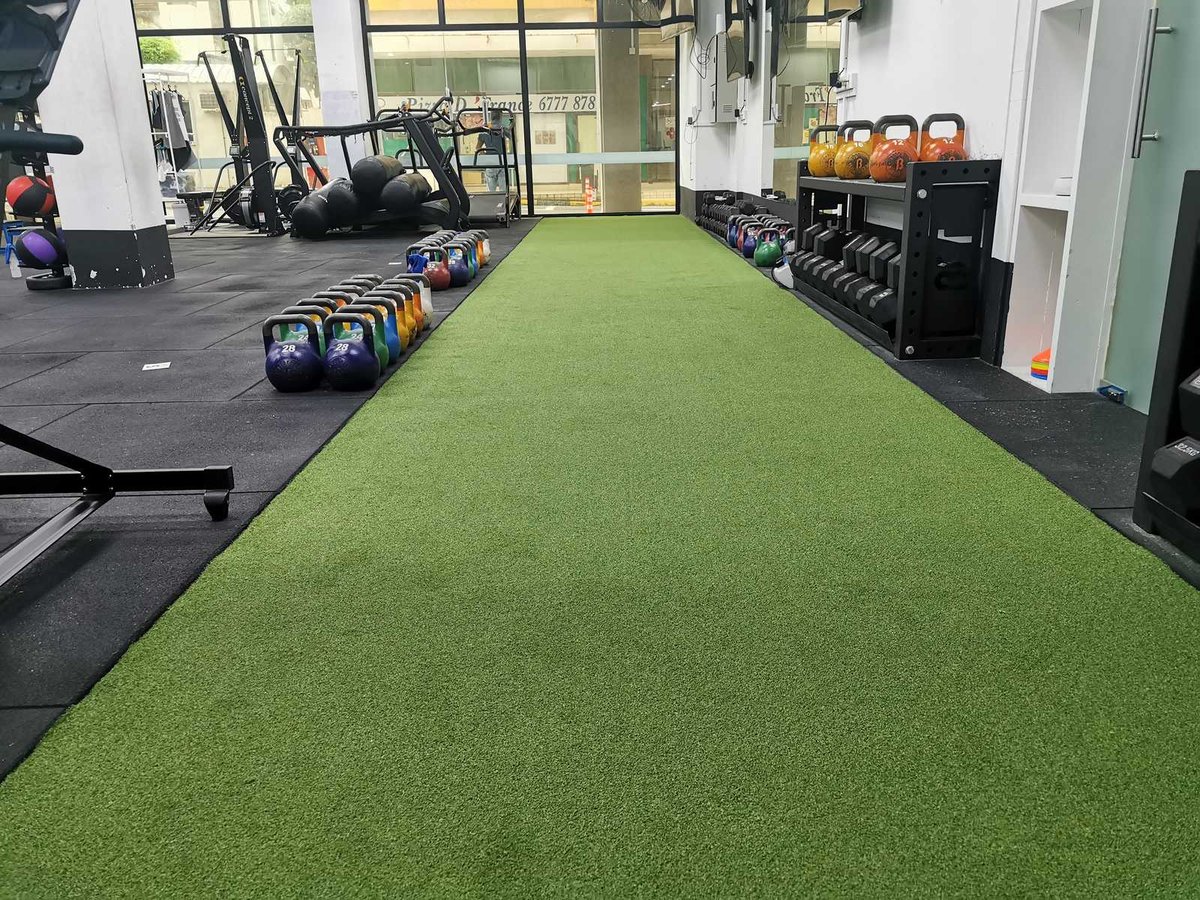 Artificial grass training lane running between equipment racks at BFT Kovan gym, Singapore