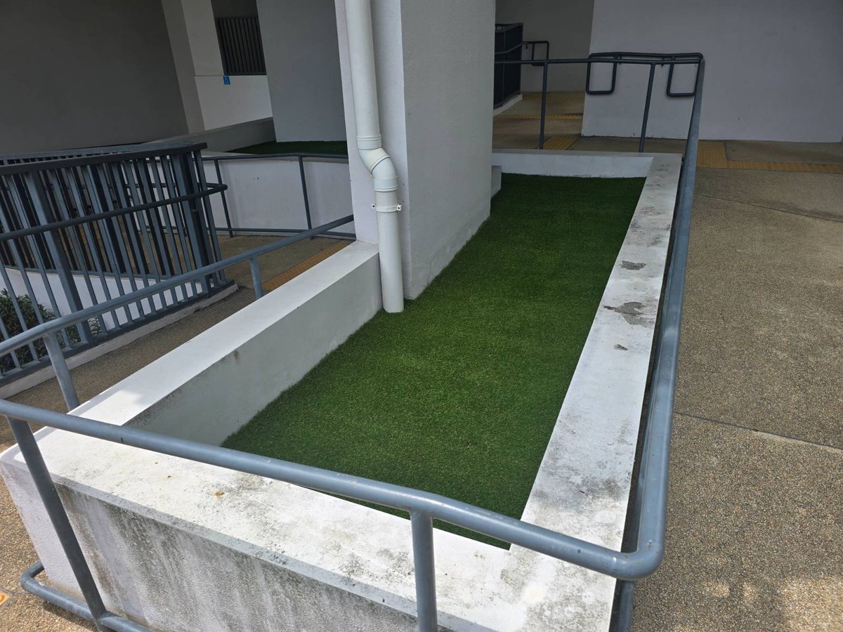 Poolside artificial grass at Kingsford Waterbay, Singapore