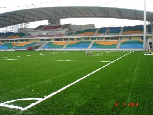 The completed green pitch with white line markings at Jalan Besar Stadium, February 2009