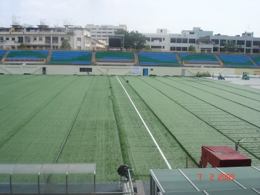 Turf rolled out the full length of the pitch at Jalan Besar Stadium, February 2009
